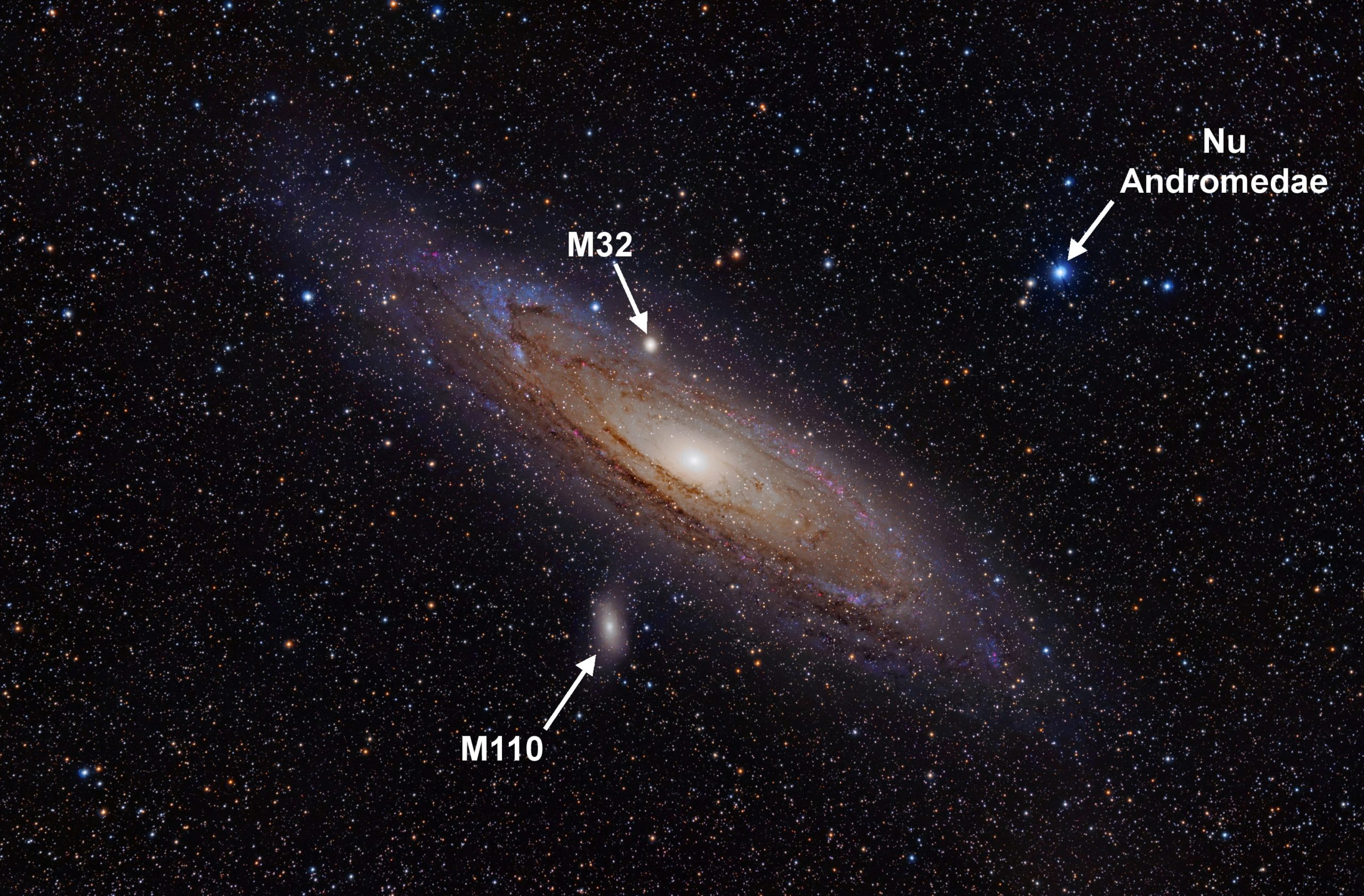 if sky shown in the andromeda galaxy