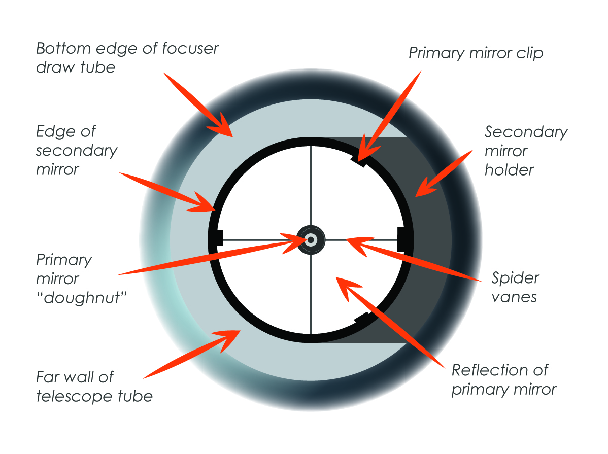 How To Collimate a Telescope? A Beginner's Guide