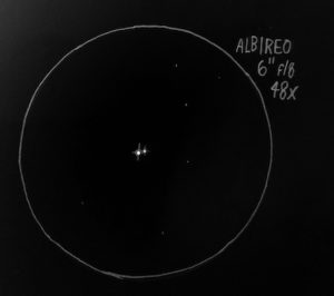 Albireo sketch