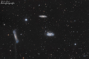 The Leo Trio