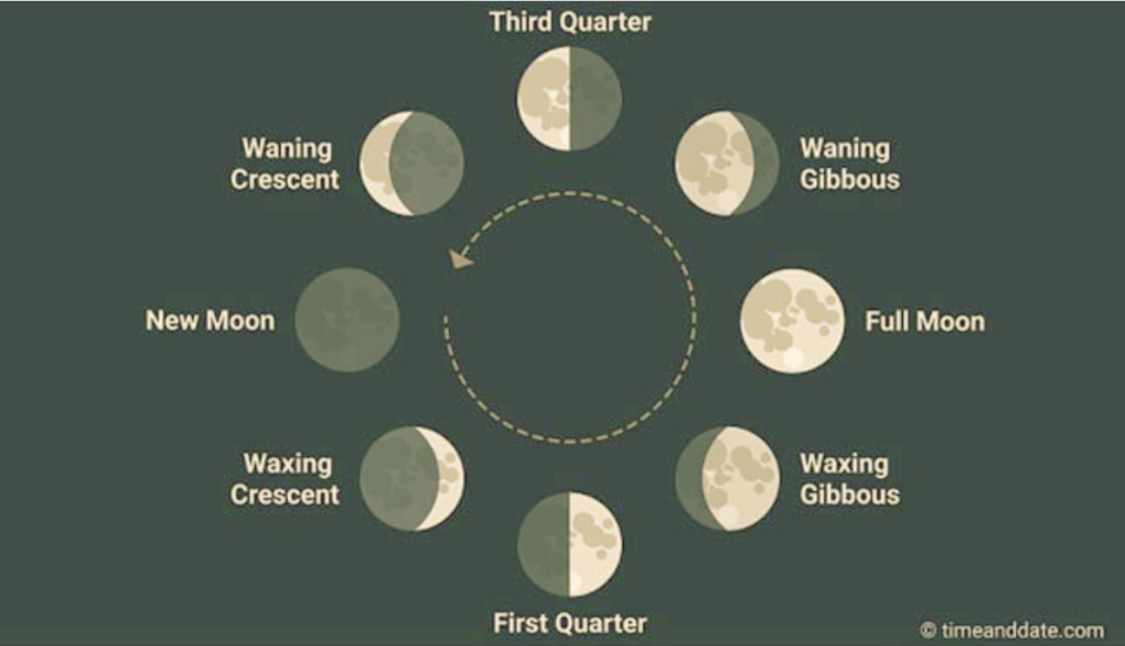 Eight Moon Phases